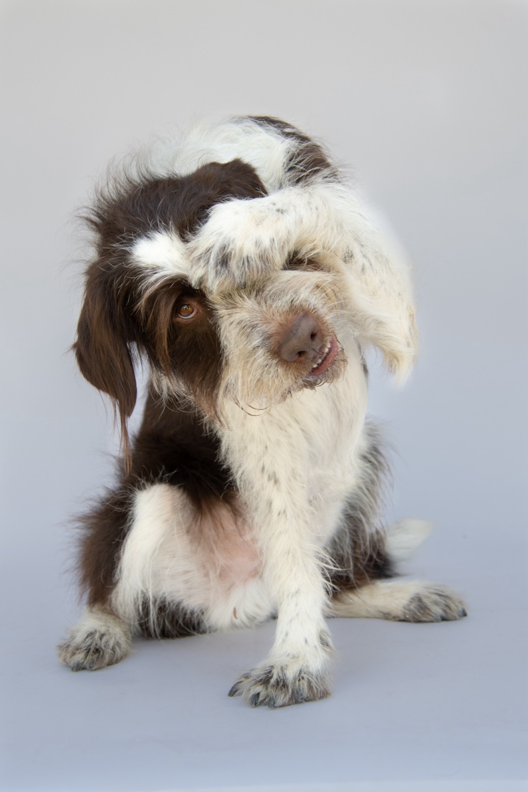 Nash performing an eye-covering trick