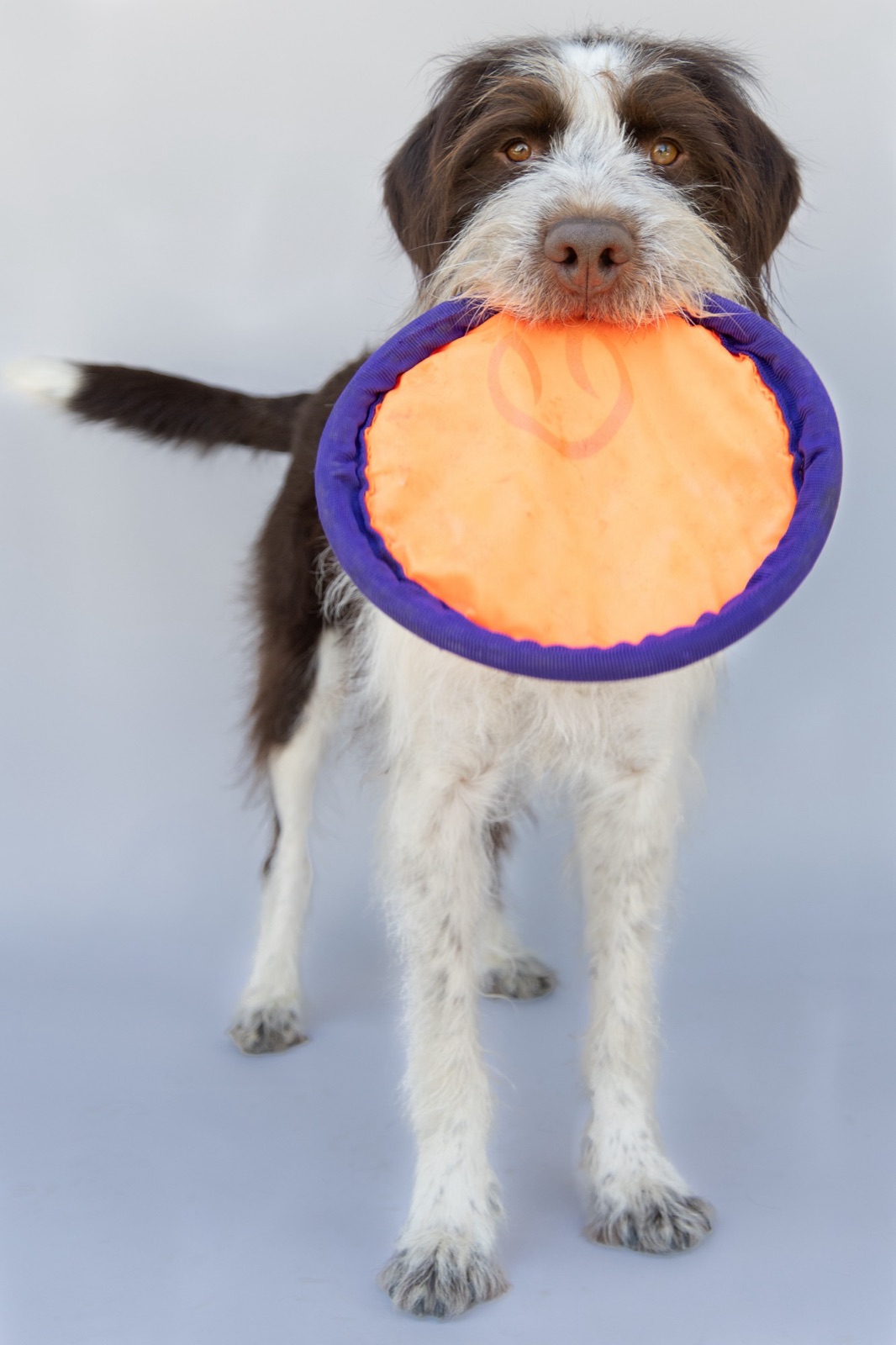 Nash holding a frisbee