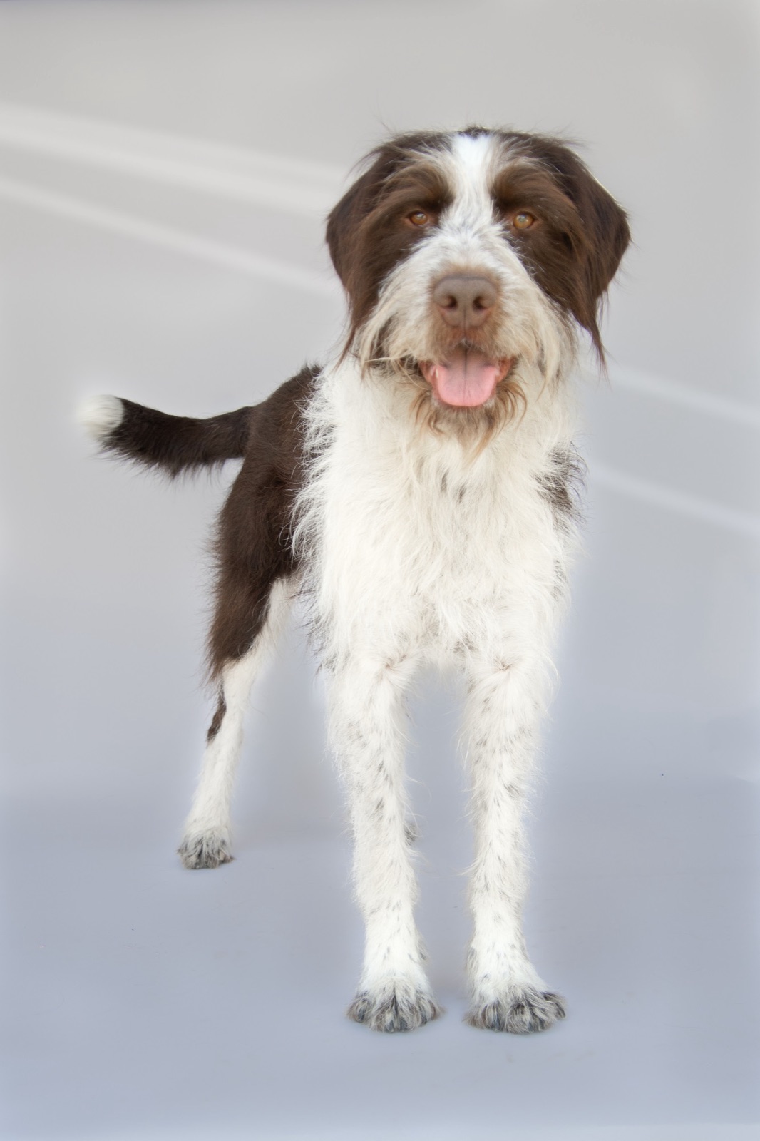 Nash standing for a studio portrait